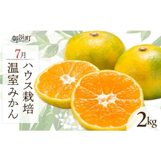 ふるさと納税 果物類 みかん 三重県 御浜町 7月の御浜柑橘 温室みかん 2キロ 先行予約 期間限定 果物 フルーツ みかん 温室みかん 2kg 三重県 御浜町