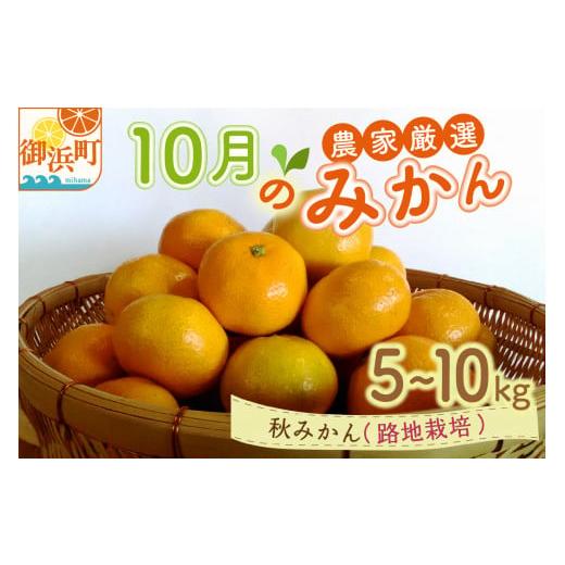 ふるさと納税 三重県 御浜町 10月の御浜柑橘 秋みかん5〜10キロ 果物 フルーツ みかん 極早生みかん 極早生 5kg 〜 10kg