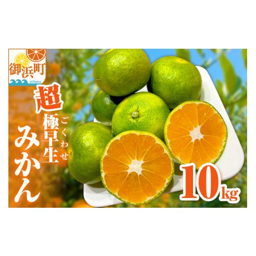 ふるさと納税 果物類 みかん 三重県 御浜町 秋の味覚ミカファームの超極早生みかん10キロ 期間限定 数量限定 果物 フルーツ みかん 超極早生みかん 超極早生 …