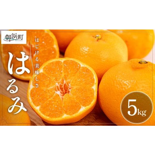 ふるさと納税 果物類 みかん 三重県 御浜町 2027年発送先行予約品 弾ける旨さ ミカファームのはるみ5キロ 期間限定 数量限定 果物 フルーツ みかん はるみ デ…