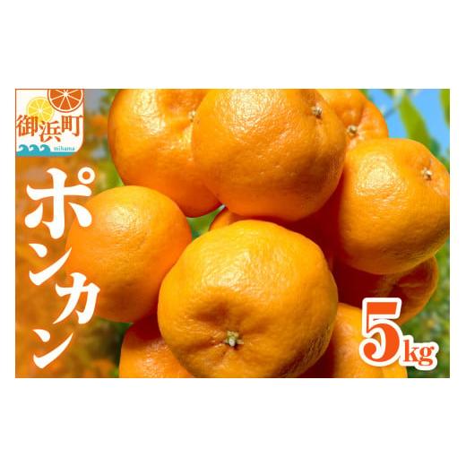 ふるさと納税 果物類 みかん 三重県 御浜町 2026年発送 先行予約品 ミカファームのポンカン5キロ 期間限定 数量限定 果物 フルーツ みかん ぽんかん デザート…