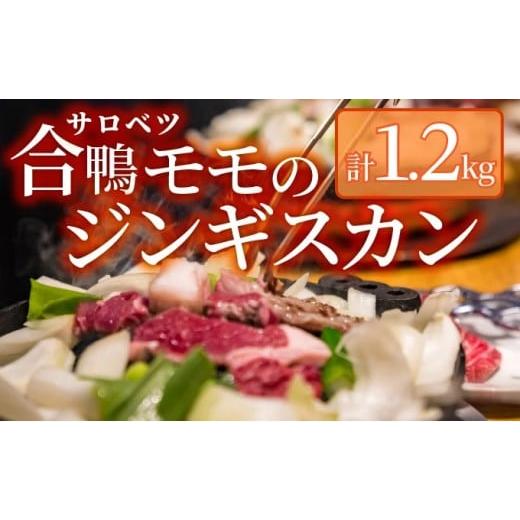 ふるさと納税 鴨肉 北海道 幌延町 合鴨モモジンギスカンセット