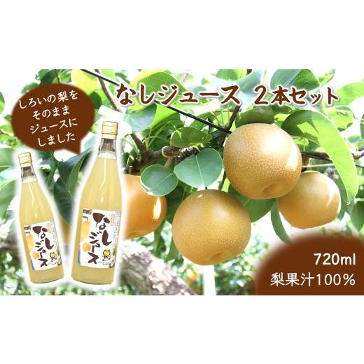 ふるさと納税 果汁飲料 千葉県 白井市 梨ジュース 720ml×2本 豊水 梨果汁100% ストレートジュース 720mL×2本