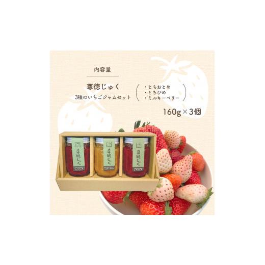 ふるさと納税 ジャム いちご 栃木県 真岡市 尊徳じゅく ( とちおとめ ・ とちひめ ・ ミルキーベリー ) 3種のいちごジャムセット 真岡市 栃木県_3
