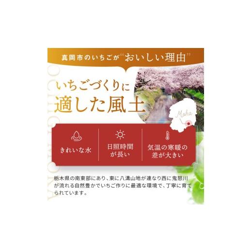 ふるさと納税 ジャム いちご 栃木県 真岡市 尊徳じゅく ( とちおとめ ・ とちひめ ・ ミルキーベリー ) 3種のいちごジャムセット 真岡市 栃木県_5