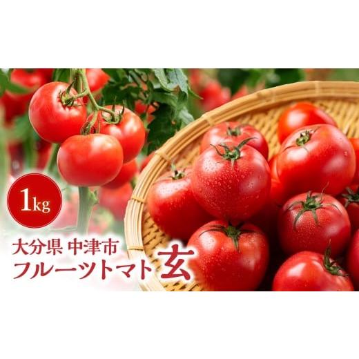 ふるさと納税 トマト ミニトマト 大分県 中津市 期間限定 フルーツ