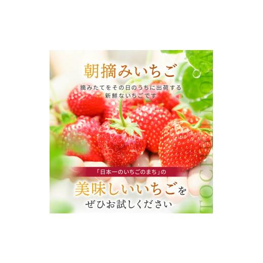 ふるさと納税 栃木県 真岡市 【先行予約】人気超上昇!! とちあいか いちご 1200g ( 4パック ) 期間限定 数量限定｜ いちご日本一 ミス苺 応援 農林水産省 最多…｜furusatochoice｜10