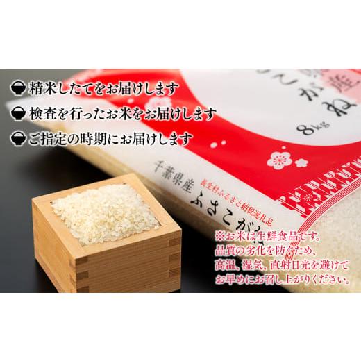ふるさと納税 米 千葉県 長生村 E01-A01-25A 令和6年産 長生産