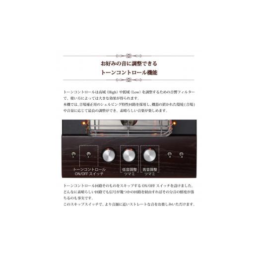ふるさと納税 TV・オーディオ・カメラ 長野県 上田市 アンプ 真空管