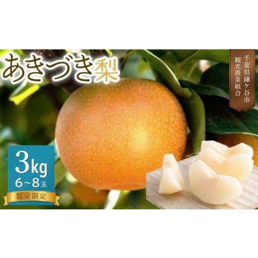 ふるさと納税 梨 千葉県 鎌ケ谷市 あきづき約3kg かまがや育ちの完熟梨(観光組合)