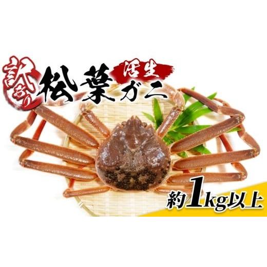 ふるさと納税 カニ 松葉ガニ 鳥取県 岩美町 鳥取県網代産　訳あり松葉がに1kgセット 鳥取 岩美 松葉ガニ ズワイガニ かに お届けは2026年11月中旬〜 22016_1