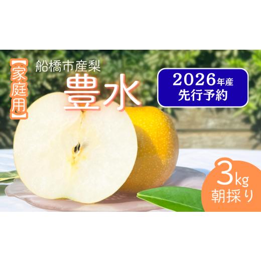 ふるさと納税 梨 千葉県 船橋市 2026年産先行予約 家庭用 果汁たっぷりの極上梨「豊水・3kg」6〜9玉 千葉県 船橋市産 エコチョク