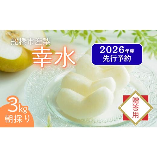 ふるさと納税 梨 千葉県 船橋市 2026年産先行予約 贈答用 果汁たっぷりの極上梨「幸水・3kg」6〜9玉 千葉県 船橋市産 エコチョク