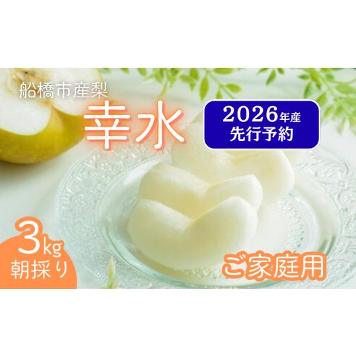 ふるさと納税 梨 千葉県 船橋市 2026年産先行予約 家庭用 果汁たっぷりの極上梨「幸水・3kg」6〜9玉 千葉県 船橋市産 エコチョク