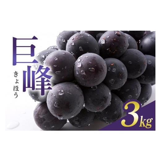 ふるさと納税 ぶどう 巨峰 茨城県 石岡市 2026年 先行予約 巨峰 3kg ( 種あり ) 石田ぶどう園 8房 〜 13房 ぶどう ブドウ 国産 果物 くだもの 葡萄 フルーツ …