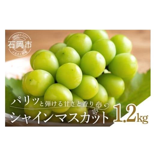 ふるさと納税 ぶどう マスカット 茨城県 石岡市 2026年 先行予約 シャインマスカット1.2kg 石田ぶどう園 2房 〜 3房 種なし ぶどう ブドウ 国産 果物 くだも…