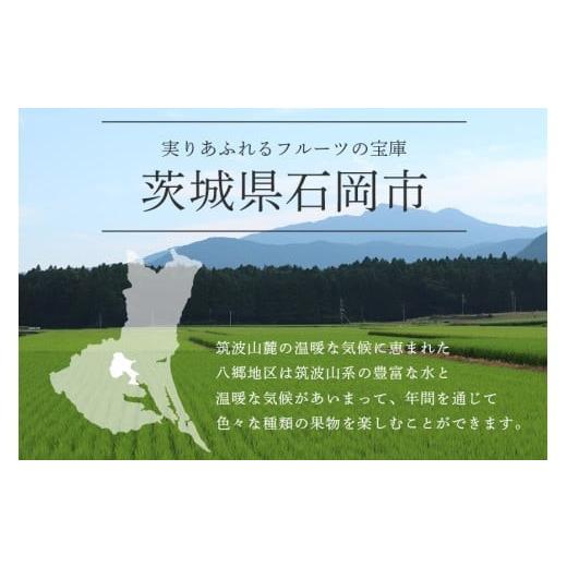 ふるさと納税 ぶどう マスカット 茨城県 石岡市  2026年 先行予約 シャインマスカット1.2kg 石田ぶどう園 2房 〜 3房 種なし ぶどう ブドウ 国産 果物 くだも…_6