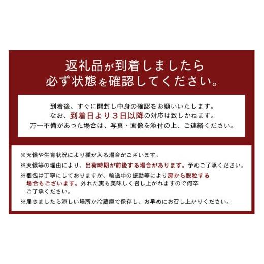 ふるさと納税 ぶどう マスカット 茨城県 石岡市  2026年 先行予約 シャインマスカット1.2kg 石田ぶどう園 2房 〜 3房 種なし ぶどう ブドウ 国産 果物 くだも…_7