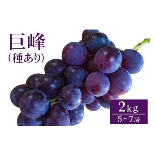 ふるさと納税 ぶどう 巨峰 茨城県 石岡市 2026年 先行予約 巨峰 2kg ( 種あり ) 開田ぶどう園 5房 〜 7房 ぶどう ブドウ 国産 果物 くだもの 葡萄 フルーツ 2…