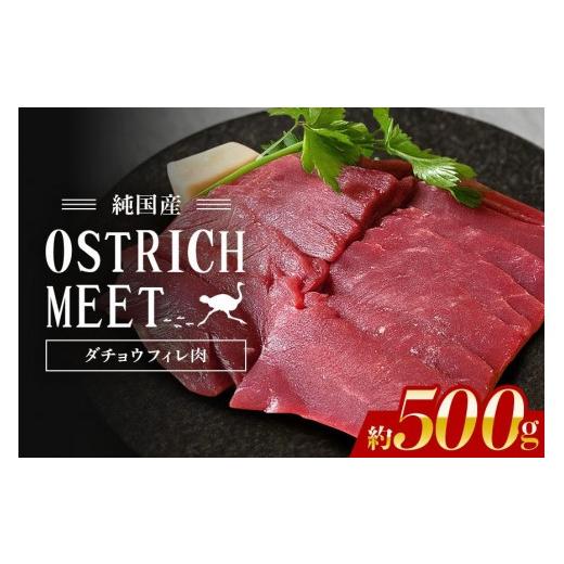 ふるさと納税 肉 茨城県 石岡市 ダチョウ フィレ肉 約500g ダチョウ肉 赤身肉 ヘルシー 低脂肪 低カロリー 高たんぱく質 鉄分 豊富 真空パック 上質 抗生物質…
