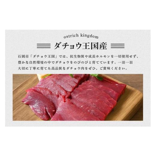 ふるさと納税 肉 茨城県 石岡市 ダチョウ フィレ肉 約500g ダチョウ肉 赤身肉 ヘルシー 低脂肪 低カロリー 高たんぱく質 鉄分 豊富 真空パック 上質 抗生物質…