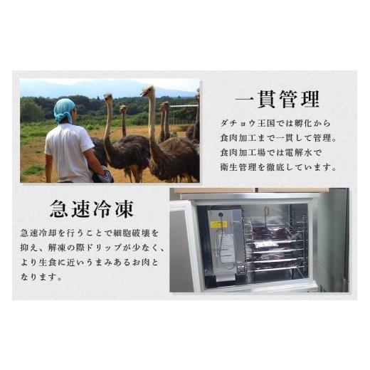 ふるさと納税 肉 茨城県 石岡市 ダチョウ フィレ肉 約500g ダチョウ肉 赤身肉 ヘルシー 低脂肪 低カロリー 高たんぱく質 鉄分 豊富 真空パック 上質 抗生物質…