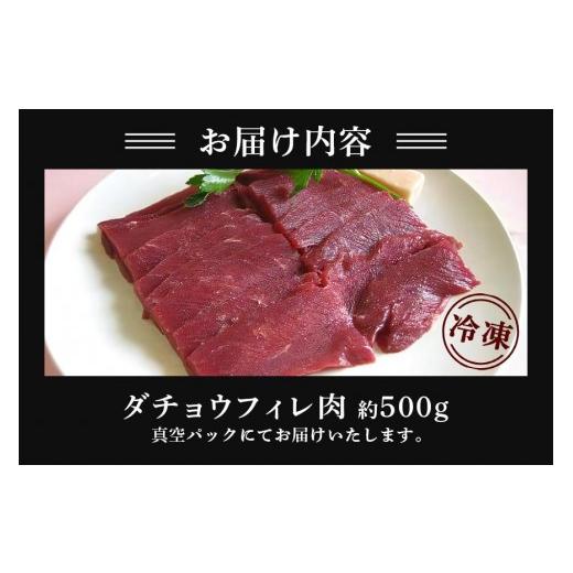 ふるさと納税 肉 茨城県 石岡市 ダチョウ フィレ肉 約500g ダチョウ肉 赤身肉 ヘルシー 低脂肪 低カロリー 高たんぱく質 鉄分 豊富 真空パック 上質 抗生物質…