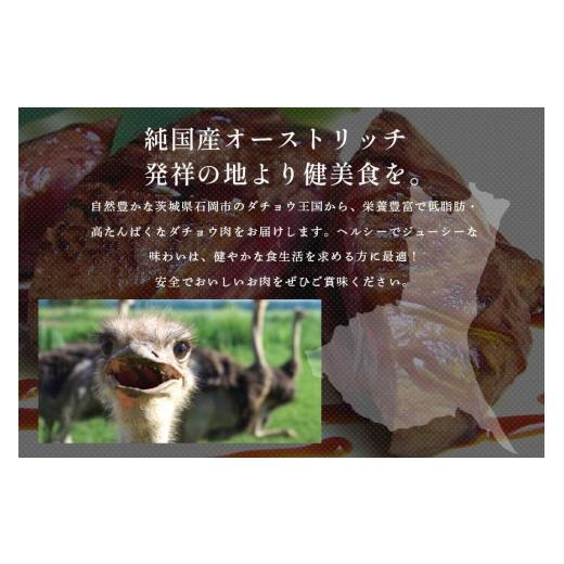 ふるさと納税 肉 茨城県 石岡市 ダチョウ フィレ肉 約500g ダチョウ肉 赤身肉 ヘルシー 低脂肪 低カロリー 高たんぱく質 鉄分 豊富 真空パック 上質 抗生物質…