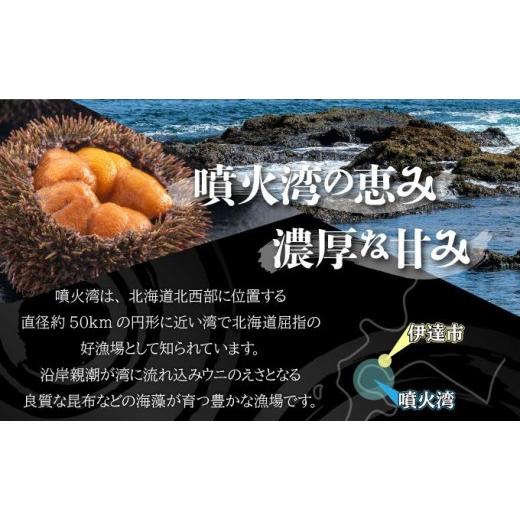 ふるさと納税 ウニ 北海道 伊達市  5525-0811 訳あり 北海道 噴火湾産 塩水 バフンウニ 100g 1パック うに ウニ 雲丹 海鮮 海の幸 魚介類 ウニ丼 お寿司 濃厚 … |  | 03