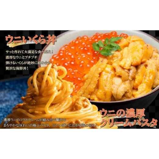 ふるさと納税 ウニ 北海道 伊達市  5525-0811 訳あり 北海道 噴火湾産 塩水 バフンウニ 100g 1パック うに ウニ 雲丹 海鮮 海の幸 魚介類 ウニ丼 お寿司 濃厚 … |  | 07