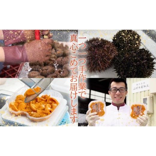 ふるさと納税 ウニ 北海道 伊達市  5525-0811 訳あり 北海道 噴火湾産 塩水 バフンウニ 100g 1パック うに ウニ 雲丹 海鮮 海の幸 魚介類 ウニ丼 お寿司 濃厚 … |  | 08