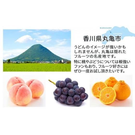 ふるさと納税 地域のお礼の品 香川県 丸亀市  丸亀讃果 定期便 2ヶ月 今が旬の厳選果実 詰め合わせ 旬のフルーツ 食べ比べ いちご みかん デコポン びわ 桃 梨… |  | 03