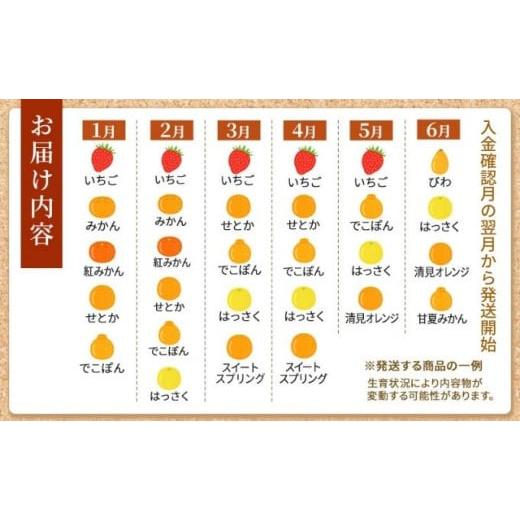 ふるさと納税 地域のお礼の品 香川県 丸亀市  丸亀讃果 定期便 2ヶ月 今が旬の厳選果実 詰め合わせ 旬のフルーツ 食べ比べ いちご みかん デコポン びわ 桃 梨… |  | 05