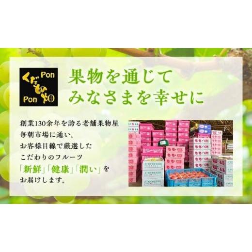 ふるさと納税 地域のお礼の品 香川県 丸亀市  丸亀讃果 定期便 2ヶ月 今が旬の厳選果実 詰め合わせ 旬のフルーツ 食べ比べ いちご みかん デコポン びわ 桃 梨… |  | 07
