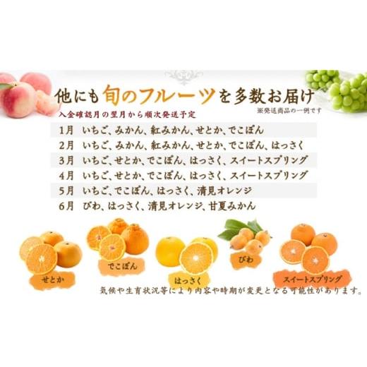 ふるさと納税 地域のお礼の品 香川県 丸亀市 フルーツ定期便 丸亀讃美果 計3回定期便／ 果実 果物 旬 定期配送 シャインマスカット 桃 みかん いちご ピオーネ… |  | 06