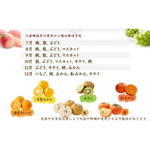 ふるさと納税 地域のお礼の品 香川県 丸亀市 フルーツ定期便 丸亀讃美果 計3回定期便／ 果実 果物 旬 定期配送 シャインマスカット 桃 みかん いちご ピオーネ… |  | 07