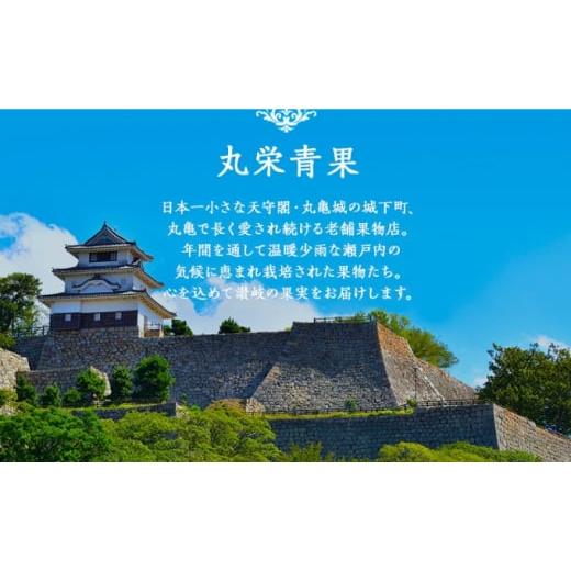 ふるさと納税 地域のお礼の品 香川県 丸亀市 フルーツ定期便 丸亀讃美果 計3回定期便／ 果実 果物 旬 定期配送 シャインマスカット 桃 みかん いちご ピオーネ… |  | 08