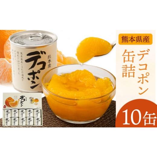 ふるさと納税 缶詰・瓶詰 くだもの 熊本県 津奈木町 デコポン缶詰10缶入り[60日以内に出荷予定(土日祝除く)]熊本県 葦北郡 津奈木町 あしきた農業協同組合 J…