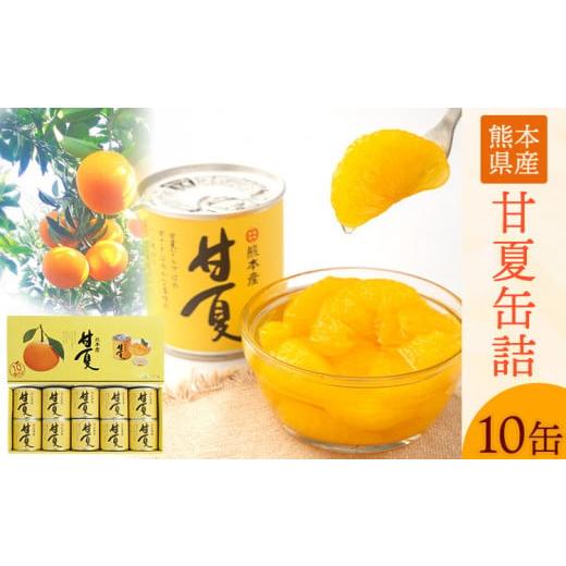 ふるさと納税 缶詰・瓶詰 くだもの 熊本県 津奈木町 甘夏缶詰10缶入り[60日以内に出荷予定(土日祝除く)]熊本県 葦北郡 津奈木町 あしきた農業協同組合 JAあ…