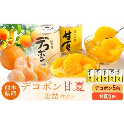 ふるさと納税 缶詰・瓶詰 くだもの 熊本県 津奈木町 デコポン・甘夏缶詰セット計10缶入り[60日以内に出荷予定(土日祝除く)]熊本県 葦北郡 津奈木町 あしきた…