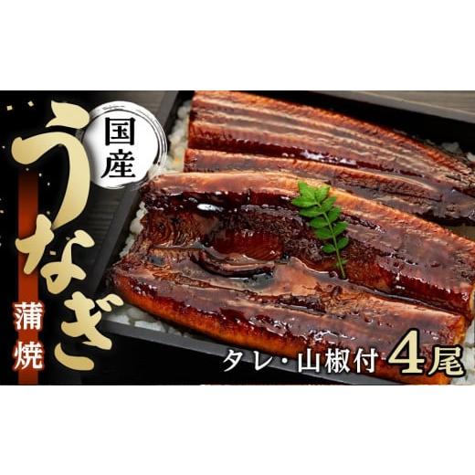 ふるさと納税 うなぎ 和歌山県 有田川町 国内産うなぎ蒲焼4尾(タレ・山椒付き)合計500g以上 通常配送 国内産うなぎ蒲焼4尾(タレ・山椒付き)合計500g以上