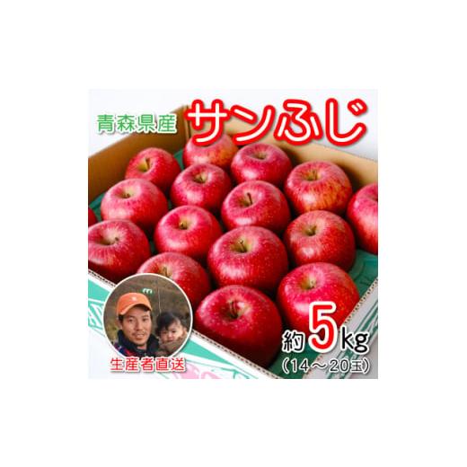 ふるさと納税 りんご 青森県 青森市 青森県産 産地直送 家庭用 サンふじ 約5kg 1387746