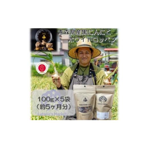 ふるさと納税 野菜類 薬味 青森県 青森市 青森県産黒にんにく 100g×5個 1389463