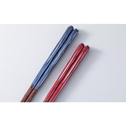 ふるさと納税 陶磁器・漆器・ガラス 福井県 小浜市 若狭塗箸「田園」夫婦箸