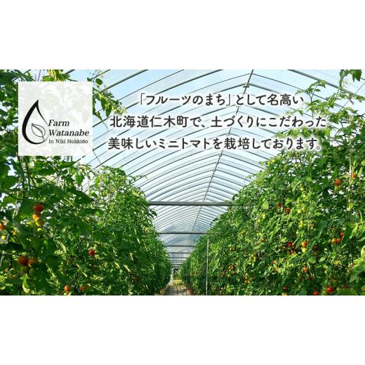 ふるさと納税 果汁飲料 トマト 北海道 仁木町 ミニトマトジュース(北海道 仁木町産 ミニトマト エコスイート 100%) 1L×6本 無塩・無糖・保存料無添加 栽培期…の画像