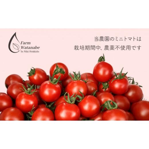 ふるさと納税 果汁飲料 トマト 北海道 仁木町 ミニトマトジュース(北海道 仁木町産 ミニトマト エコスイート 100%) 1L×6本 無塩・無糖・保存料無添加 栽培期…の画像