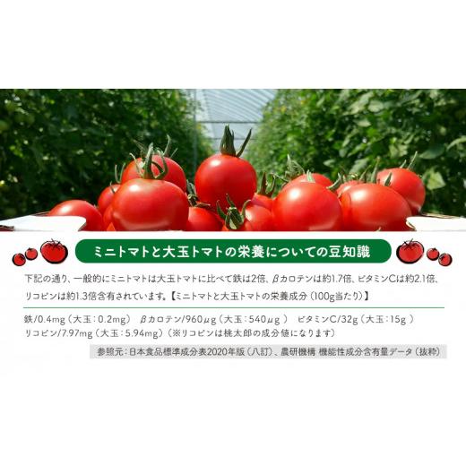 ふるさと納税 果汁飲料 トマト 北海道 仁木町 ミニトマトジュース(北海道 仁木町産 ミニトマト エコスイート 100%) 1L×6本 無塩・無糖・保存料無添加 栽培期…の画像
