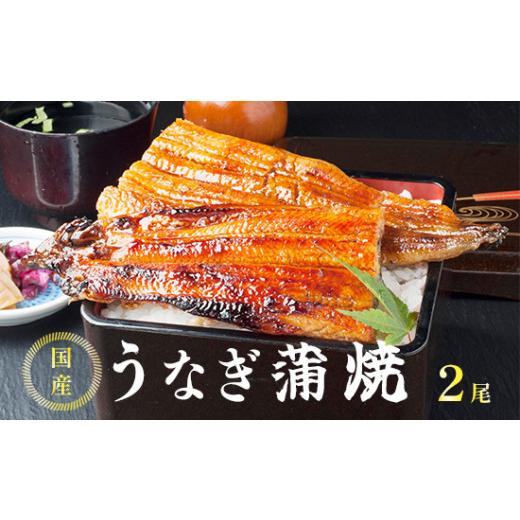 ふるさと納税 うなぎ 京都府 舞鶴市 土用丑の日お届け 国産うなぎ蒲焼 有頭 約200g×2尾|特製タレ付・調理済|冷凍|夏の滋養食 土用丑の日お届け