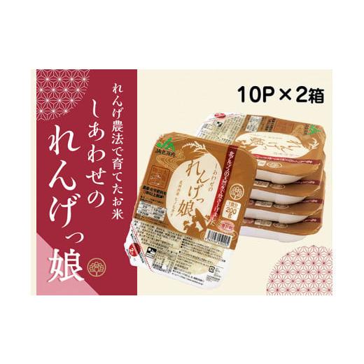 ふるさと納税 米 ヒノヒカリ 大阪府 寝屋川市 しあわせのれんげっ娘パックごはん 10パック×2|パックごはん ごはん ご飯 1197