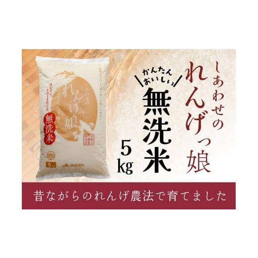 ふるさと納税 無洗米 大阪府 寝屋川市 しあわせのれんげっ娘 5kg (無洗米)|米 お米 ごはん ご飯 1203